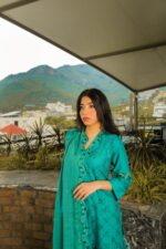 Green embroidered with khaadi dupatta - Image 4