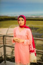 Pink embroidered with silk embroidered dupatta - Image 2