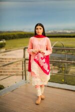Pink embroidered with silk embroidered dupatta