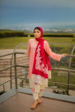 Pink embroidered with silk embroidered dupatta - Image 8