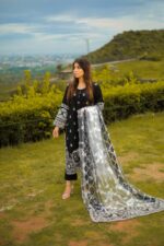 Black embroidered with brochea dupatta - Image 4