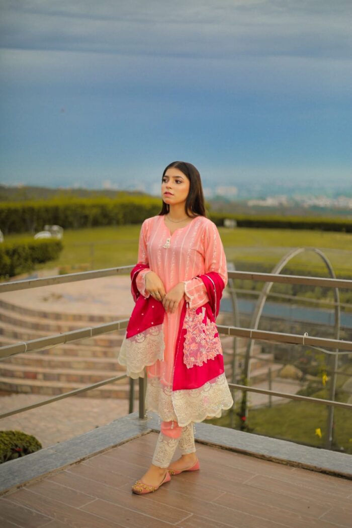 Pink embroidered with silk embroidered dupatta - Image 6