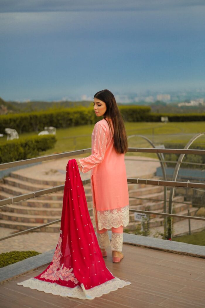 Pink embroidered with silk embroidered dupatta - Image 7