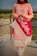 Pink embroidered with silk embroidered dupatta - Image 5