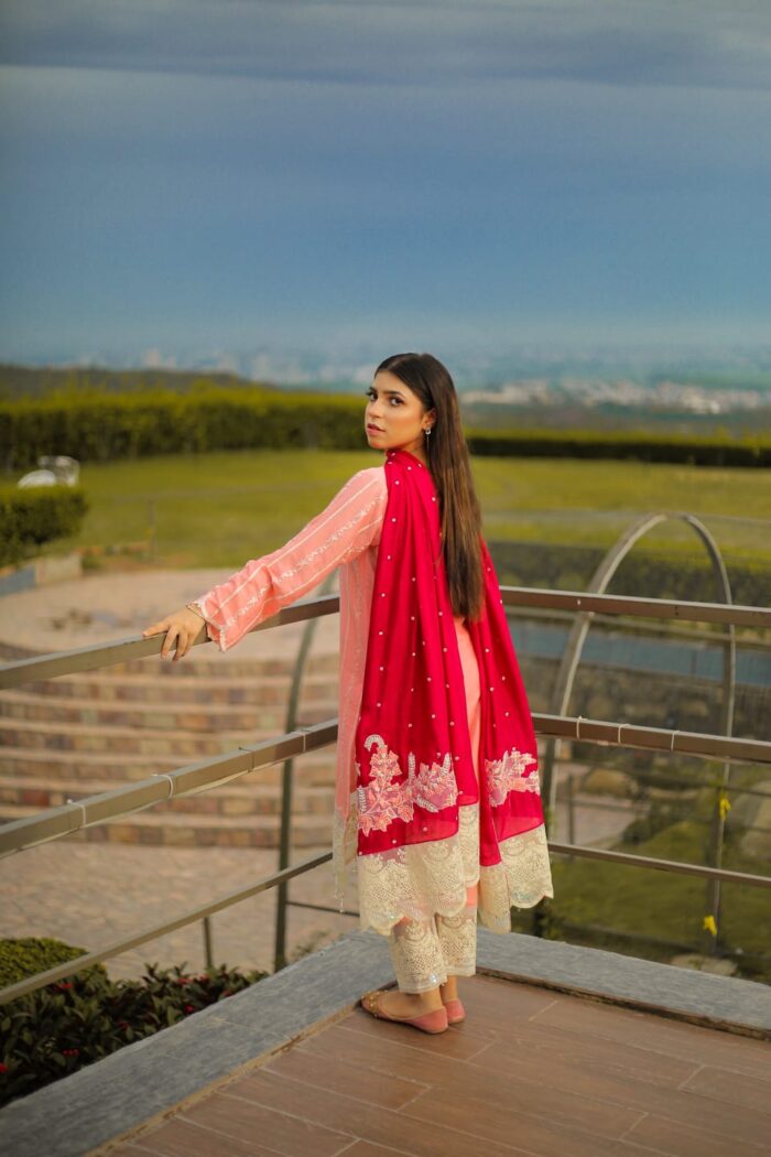 Pink embroidered with silk embroidered dupatta - Image 4