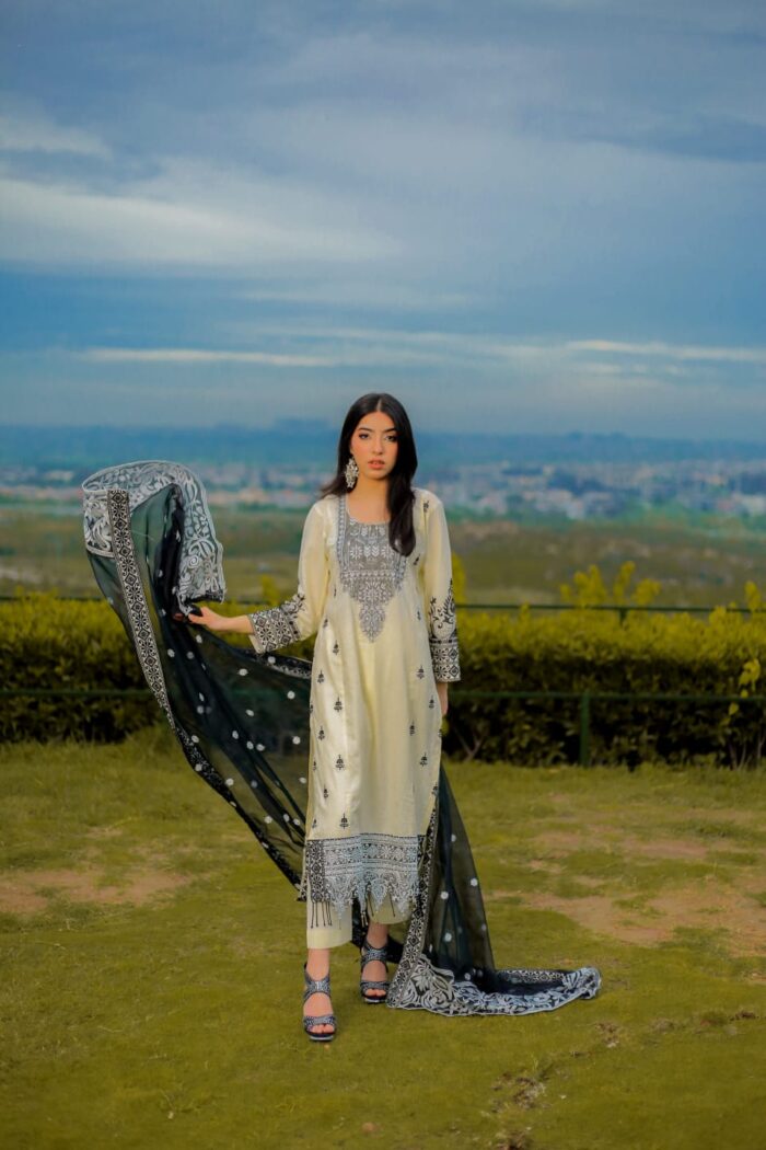 White Embroidered with organza dupatta - Image 5