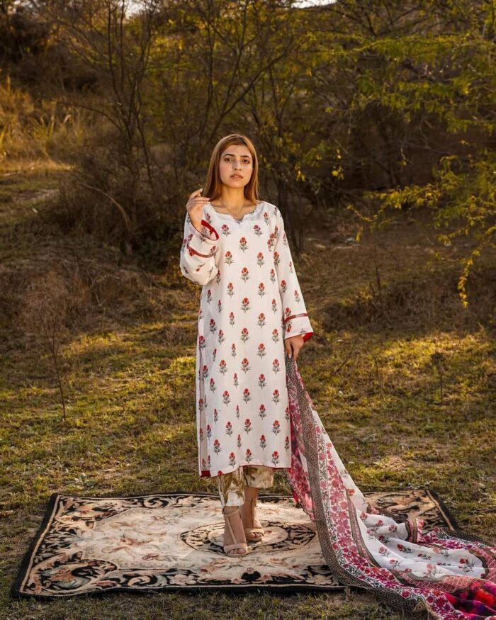 A 2 piece shirt dupatta - Image 1