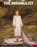 A 2 piece shirt dupatta - Image 3