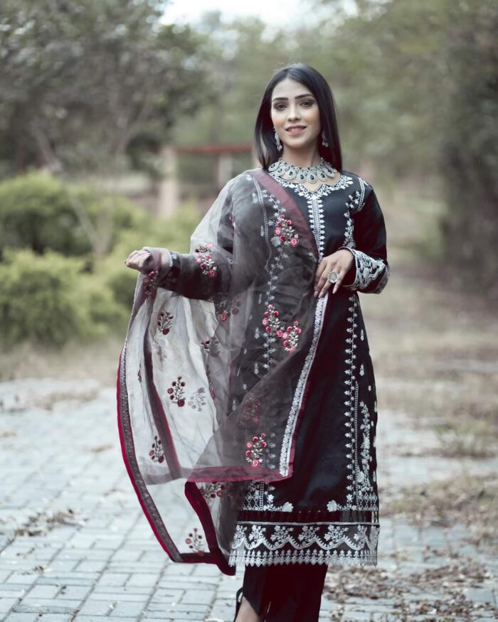 Raw silk with organza dupatta - Image 3