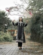 Raw silk with organza dupatta